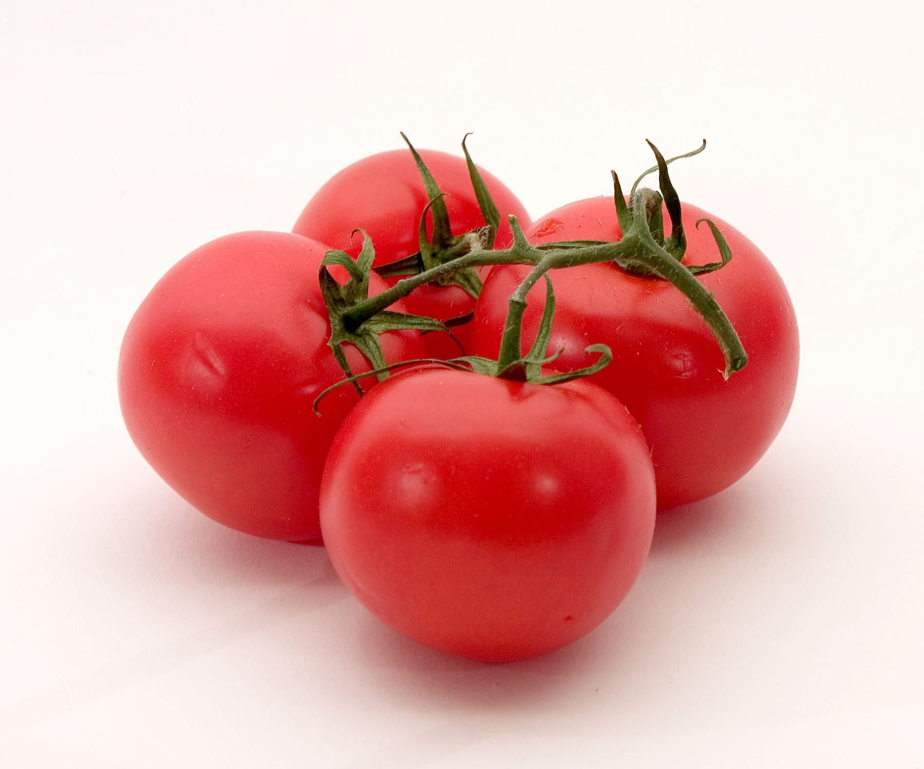 Photographie : Tomate